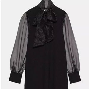 Zara Mini Organza Dress